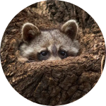 Иванов Дмитрий